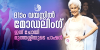 "നിങ്ങൾക്ക് മോ ഡലിംഗ് നോക്കിക്കുടേ" എന്ന ചോദ്യം പ്രചോ​ദനമായി.