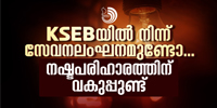 വൈദ്യുതി മുടക്കമുണ്ടോ..വോൾട്ടേജ് വ്യതിയാനമുണ്ടോ...ബില്ല് അടച്ചിട്ടും ഫ്യൂസ് തിരികെ സ്ഥാപിച്ചില്ലേ.. എങ്കിൽ ഇങ്ങനെയുള്ള സേവനലംഘനങ്ങൾക്കെല്ലാം ഉപഭോക്താവിന് നഷ്ടപരിഹാരം ലഭിക്കും