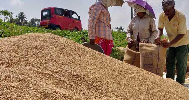 ഭൂ​മി​ ത​രംമാ​റ്റ​ ഫീ​സ് നെ​ല്ലു​വി​ല റി​വോ​ൾ​വിം​ഗ് ഫ​ണ്ട് ആക്ക​ണം