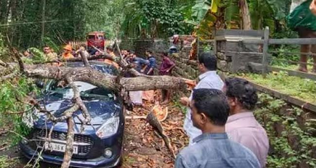 ക​ടു​ത്തു​രു​ത്തി​ക്ക് സ​മീ​പം ഓ​ടി​ക്കൊ​ണ്ടി​രു​ന്ന കാ​റി​നു മു​ക​ളി​ല്‍ മ​രം​വീ​ണു