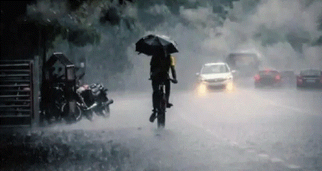 സംസ്ഥാനത്ത് ഇന്നും ശക്തമായ മഴയ്ക്ക് സാധ്യത; കോഴിക്കോടും വയനാടും ഓറഞ്ച് അലര്‍ട്ട്