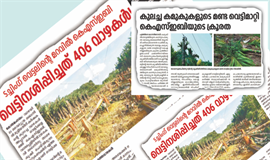 കമുകും വാഴയും വെട്ടിനിരത്തിയവർ തേവലക്കര വഴി പോയില്ലേ?