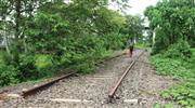 അ​ങ്ക​മാ​ലി - ശ​ബ​രി റെ​യി​ല്‍​പാ​ത യാ​ഥാ​ര്‍​ഥ്യ​മാ​ക്കാ​ന്‍ തീ​രു​മാ​നം; കേ​ന്ദ്ര സം​ഘം കേ​ര​ള​ത്തി​ലെ​ത്തും