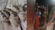 വീ​ട്ടി​ലേ​ക്ക് പു​ലി ഓ​ടി​ക്ക​യ​റി; കൂ​ട് സ്ഥാ​പി​ക്കും