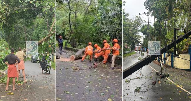 ക​ന​ത്ത കാ​റ്റും മ​ഴ​യും: മ​ര​ങ്ങ​ൾ ക​ട​പു​ഴ​കി, വ്യാ​പ​ക നാ​ശ​ന​ഷ്ടം; ട്രെ​യി​നു​ക​ൾ വൈ​കു​ന്നു