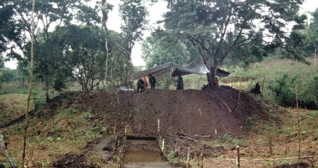 ആമസോൺ വനത്തിൽ  2500 വർഷം പഴക്കമുള്ള നഗരം