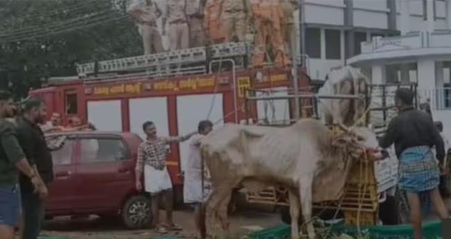 ക​ശാ​പ്പി​ന് എ​ത്തി​ച്ച കാ​ള വി​ര​ണ്ടോ​ടി; വി​ദ്യാ​ർ​ഥി​യെ ആ​ക്ര​മി​ച്ചു