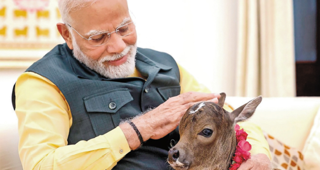  ദീപ് ജ്യോതി യെ ലാളിച്ച്  മോദിയുടെ വീഡിയോ