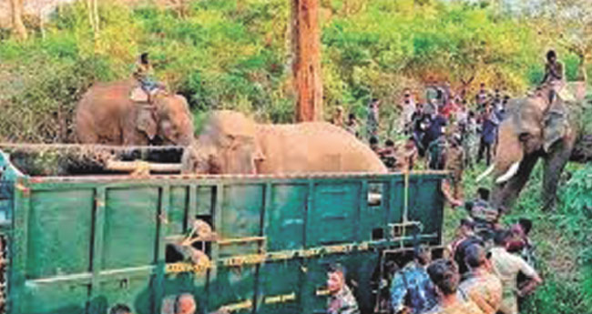 മന്ത്രിക്കും കാട്ടാനയ്ക്കും വാഹനവ്യൂഹം;  അനാഥ ഇരകള്‍ക്ക് ആരോരുമില്ല