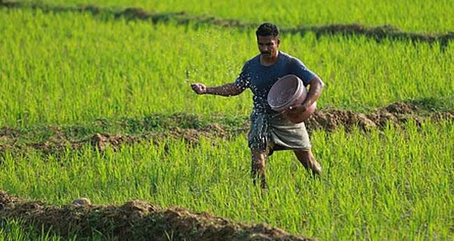 പ​ത്ത് ല​ക്ഷം രൂ​പ ത​ട്ടി​യെ​ടു​ത്തു, ഹോ​ർ​ട്ടി​കോ​ർ​പ്പ് ക​രാ​ർ ജീ​വ​ന​ക്കാ​ര​ൻ അ​റ​സ്റ്റി​ൽ