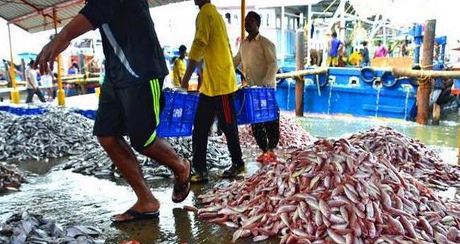 ട്രോ​ളിം​ഗ് നി​രോ​ധ​നം ക​ഴി​ഞ്ഞു; വ​ല​നി​റ​ഞ്ഞ് കി​ളി​മീ​ൻ