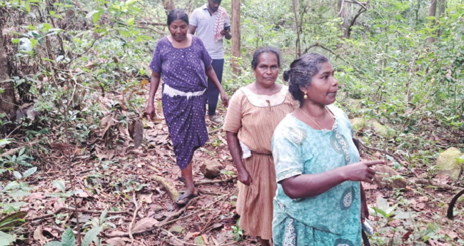 വ​ന​ത്തി​ൽ കാ​ണാ​താ​യ മൂ​ന്ന് സ്ത്രീ​കളും സുരക്ഷിതർ