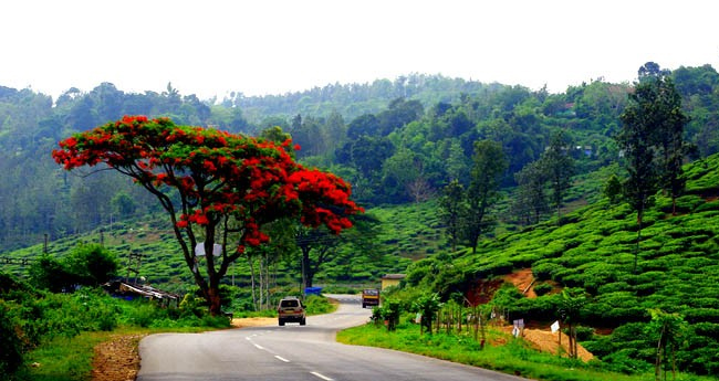 കേന്ദ്രത്തിലേക്കു സമർപ്പിച്ച മാപ്പും പ്രൊപ്പോസലും പുറത്തുവിടാത്തതിൽ ആശങ്ക