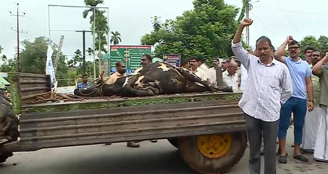 ക​ടു​വ​യു​ടെ ആ​ക്ര​മ​ണം തു​ട​രു​ന്നു; കേ​ണി​ച്ചി​റ​യി​ൽ റോ​ഡ് ഉ​പ​രോ​ധി​ച്ച് പ്ര​തി​ഷേ​ധം