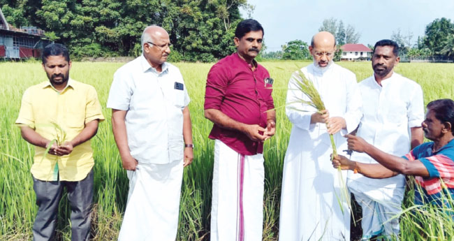 കൃഷി നശിച്ച കർഷകർക്ക് അടിയന്തര  സഹായം നൽകണം: മാർ ഇഞ്ചനാനിയിൽ