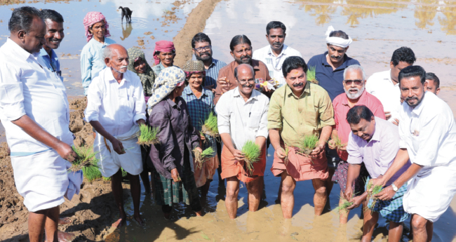 കേ​ര​ള​ത്തി​ൽ നെ​ൽ​കൃ​ഷി​ വ്യാ​പ​ന​ത്തി​നു  മു​ന്നി​ട്ടി​റ​ങ്ങും: റോ​ഷി അ​ഗ​സ്റ്റി​ൻ