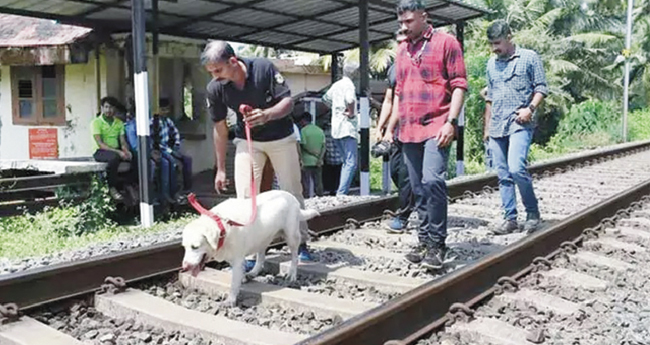 റെ​യി​ൽ​പാ​ള​ത്തി​ൽ സാ​ധ​ന​ങ്ങ​ൾ ക​ണ്ടെ​ത്തി​യ സം​ഭ​വം: പോ​ലീ​സ് പ​രി​ശോ​ധ​ന ന​ട​ത്തി