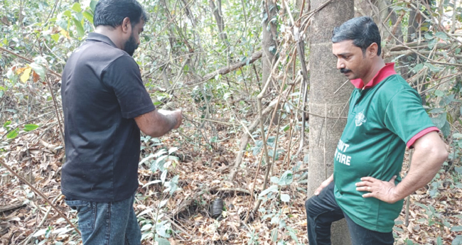 ധ​ർ​മ​ശാ​ല നി​ഫ്റ്റ് കോ​ള​ജ് പ​രി​സ​ര​ത്ത് ഭീ​തി പ​ട​ർ​ത്തി കാ​ട്ടു​പോ​ത്ത്