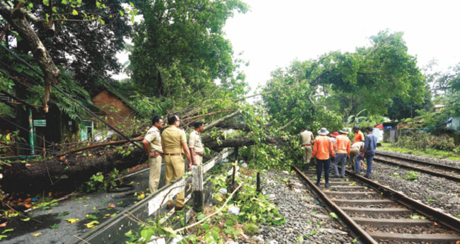 പച്ചാളത്ത് റെ​​യി​​ല്‍വേ ട്രാ​​ക്കി​​ലേ​​ക്ക് മ​​രം വീ​​ണു, വ​​ഴി​​മാ​​റി​​യ​​ത് വ​​ന്‍ ദു​​ര​​ന്തം