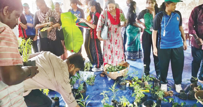 വിത്തുകുട്ടയില്‍ വില്പനയില്ല; ആര്‍ക്കുമെടുക്കാം, കൊടുക്കാം