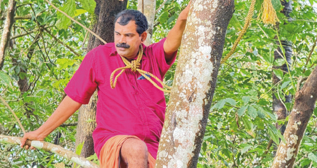 കാ​ട്ടു​പ​ന്നി കൃ​ഷി ന​ശി​പ്പി​ച്ചു; ആ​ത്മ​ഹ​ത്യാ ഭീ​ഷ​ണി​യു​മാ​യി ക​ർ​ഷ​ക​ൻ