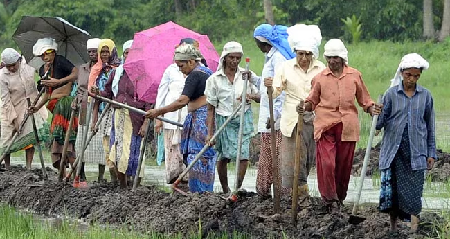 തൊഴിലുറപ്പ് വേതനം  വർധിപ്പിക്കണം;  പാർലമെന്‍ററി സമിതി ശിപാർശ