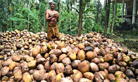 നാ​ളി​കേ​ര ക​ർ​ഷ​ക​ർ​ക്ക്  പു​തു സം​ര​ംഭ​ങ്ങ​ളു​മാ​യി കേ​ര​ഫെ​ഡ്
