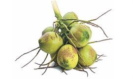 എ​രി​തീ​യി​ൽ എ​ണ്ണ  ഒ​ഴി​ക്കാ​ൻ കേ​ര​ഫെ​ഡ്