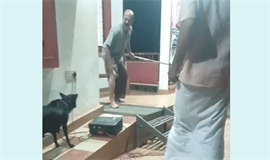 നായയ്ക്ക് എന്ത് നാടകം...; തെ​രു​വുനാ​യ ശല്യത്തിനെതിരേയുള്ള  നാടകത്തിനിടെ നടനെ നായ സ്റ്റേജിൽ കയറി കടിച്ചു