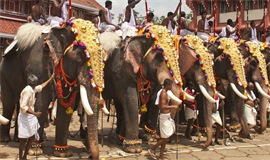 എ​ഴുന്ന​ള്ള​ത്തി​ന് പാ​ലി​ക്കേ​ണ്ട അ​ക​ലം തീ​രു​മാ​നി​ക്കേ​ണ്ട​ത് ജി​ല്ലാ മോ​ണി​ട്ട​റിം​ഗ് ക​മ്മി​റ്റി​യെന്ന് സ​ര്‍​ക്കാ​ര്‍