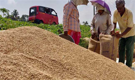 നെല്ലുസംഭരണവിലയിൽ നി​ബ​ന്ധ​നയുമായി സ​പ്ലൈ​കോ