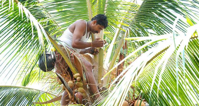 കൂ​ടി​യ കു​ടി​യ​ന്മാ​ർ​ക്ക്; വ​രു​ന്നു കെ ​ടോ​ഡി