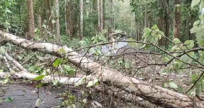 കൊ​ടും ചൂ​ടി​ൽ നി​ന്ന് ആ​ശ്വാ​സം പ​ക​ർ​ന്ന് മ​ഴ​യെ​ത്തി; മ​ല​പ്പു​റ​ത്ത് വ്യാ​പ​ക നാ​ശം