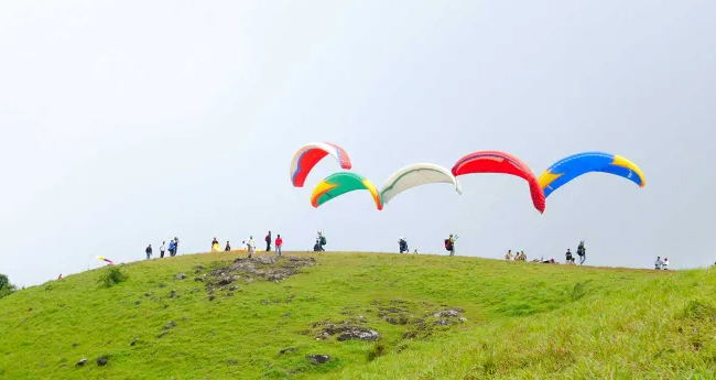 വി​നോ​ദ​സ​ഞ്ചാ​ര​കേ​ന്ദ്ര​ങ്ങ​ളിലെ  ജ​ന​വാ​ഹ​ക​ശേ​ഷി പ​രി​ശോ​ധി​ക്കും