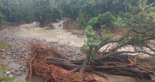 "മാ​ധ്യ​മ​ങ്ങ​ളോ​ടു മി​ണ്ട​രു​ത്, മു​ണ്ട​ക്കൈ​യി​ൽ കാ​ലു​കു​ത്ത​രു​ത്': ശാ​സ്ത്ര​ജ്ഞ​ർ​ക്കെ​തി​രാ​യ ഉ​ത്ത​ര​വി​ൽ പു​ലി​വാ​ലു പി​ടി​ച്ച് സ​ർ​ക്കാ​ർ