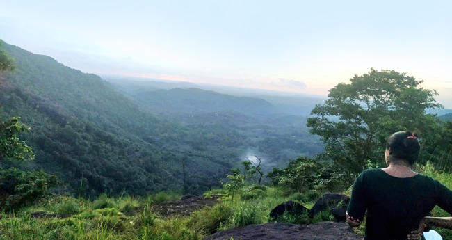 മീ​ന്‍​പാ​റ​യി​ലെ മി​ന്നും കാ​ഴ്ച​ക​ൾ