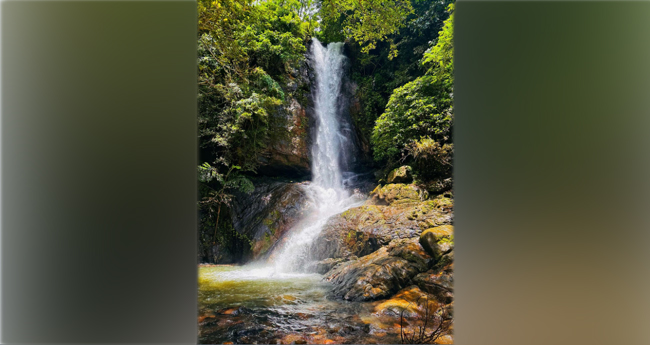 ആ​ലിം​ഗ​നം ചെ​യ്യും ആ​ലി​ങ്ക​ൽ വെ​ള്ള​ച്ചാ​ട്ടം