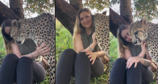 a womren kissed a cheetah