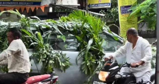 car with tree