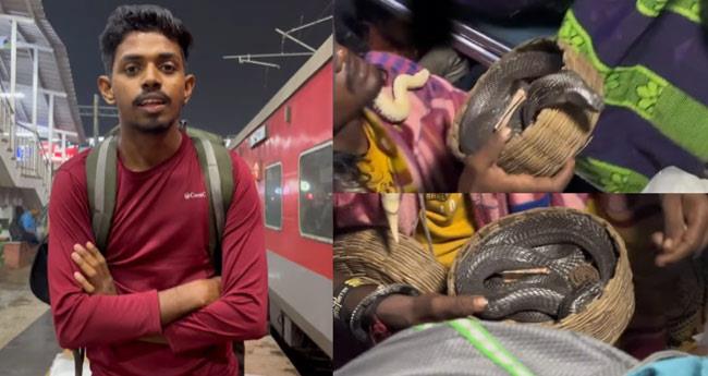 Monkey Lands On SUV Shatters Cars Sunroof & Escapes