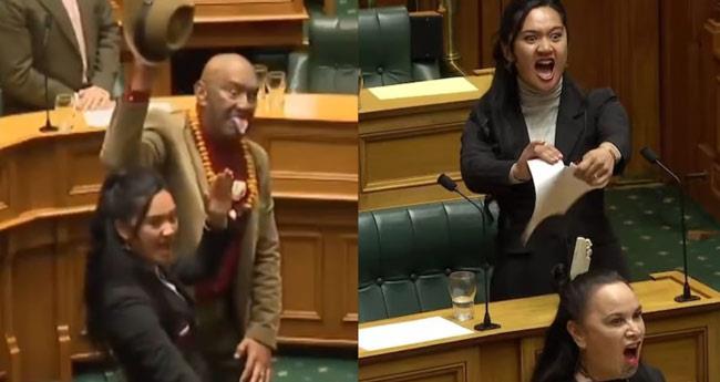 nz mp