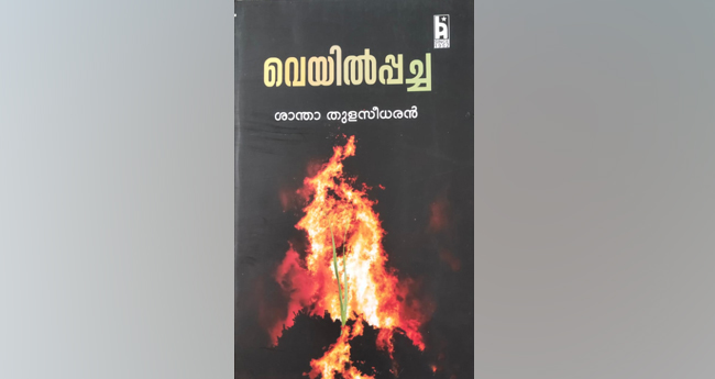 വെ​യി​ൽ​പ്പ​ച്ച