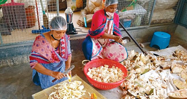 നേട്ടങ്ങളുടെ നെറുകയിൽ മാൻവെട്ടം ഫാർമേഴ്സ് പ്രൊഡ്യൂസിംഗ് കന്പനി