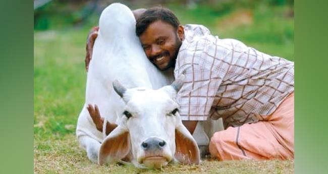 മ​ഴ​ക്കാ​ല​ത്തും വേ​ണം കാ​ലി​ക​ൾ​ക്ക് പ്ര​ത്യേ​ക പ​രി​ച​ര​ണം