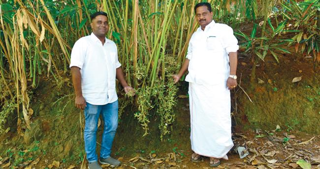 സു​ഗ​ന്ധ​റാ​ണി വി​ള​യും ഹൈ​റേ​ഞ്ചി​ൽ താ​ര​ങ്ങ​ളാ​യി ബേ​ബി​യും ജോ​യ​ലും