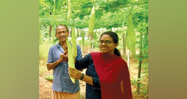 ന​ള​ന്ത​യി​ലെ കൃ​ഷി എ​ന്നും സു​ന്ദ​രം