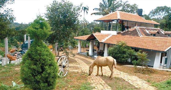 മൈ​ലാ​ടും​പാ​റ​യ്ക്കു പോ​കാം; പാ​ർ​ക്കാ​ൻ എ​ക്സോ​ട്ടി​ക് ഈ​ഡ​ൻ