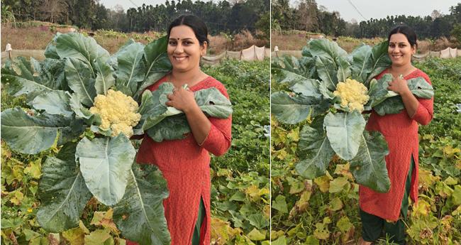 പു​തി​യ കാ​ല​ത്തി​നൊ​പ്പം ഒ​രു കാ​ർ​ഷി​ക​മാ​തൃ​ക