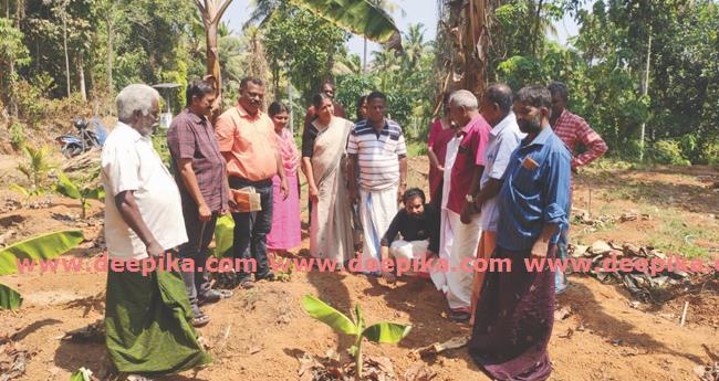 മേ​ട വി​ഷു​വി​നു വി​ള​വെ​ടു​പ്പ് ല​ക്ഷ്യം;  തോ​ലു​ഴം  ഹ​രി​ത സം​ഘം വെ​ള്ള​രി കൃ​ഷി​ക്കു വി​ത്തി​ട്ടു