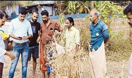 നാടാകെ പുലി പായുന്നു;  ഒളിച്ചുകളിച്ച് വനം വകുപ്പ്